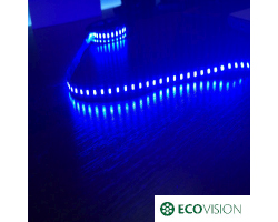 EcoVision LED traka 0.5m, 3528, 60LED/m, 4.8W/m, 36V DC, plava